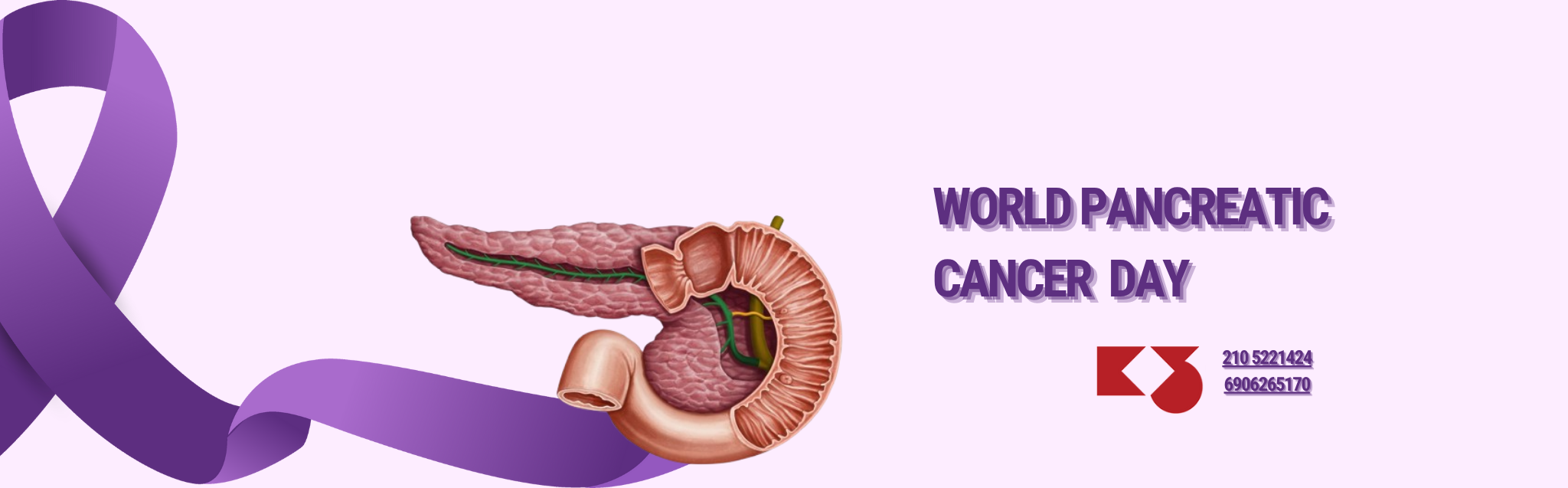 World Pancreatic Cancer Day – 13 November - K3
